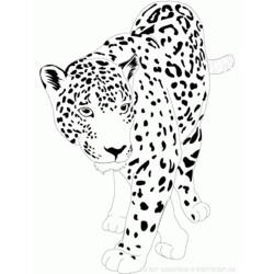 Раскраска: ягуар (Животные) #9002 - Бесплатные раскраски для печати