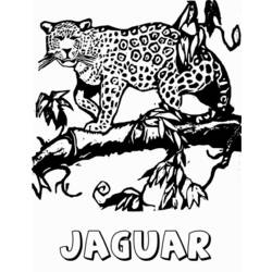 Раскраска: ягуар (Животные) #9008 - Бесплатные раскраски для печати