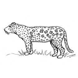 Раскраска: ягуар (Животные) #9010 - Бесплатные раскраски для печати