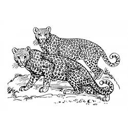 Раскраска: ягуар (Животные) #9031 - Бесплатные раскраски для печати