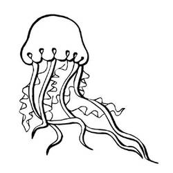 Раскраска: медуза (Животные) #20381 - Бесплатные раскраски для печати