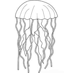 Раскраска: медуза (Животные) #20383 - Бесплатные раскраски для печати