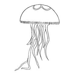 Раскраска: медуза (Животные) #20399 - Бесплатные раскраски для печати
