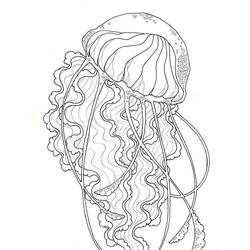 Раскраска: медуза (Животные) #20463 - Бесплатные раскраски для печати