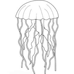 Раскраска: медуза (Животные) #20483 - Бесплатные раскраски для печати