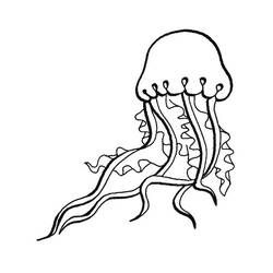 Раскраска: медуза (Животные) #20511 - Бесплатные раскраски для печати