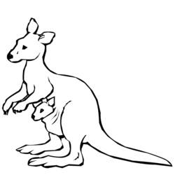Раскраска: кенгуру (Животные) #9100 - Бесплатные раскраски для печати