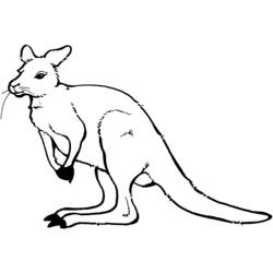 Раскраска: кенгуру (Животные) #9108 - Бесплатные раскраски для печати