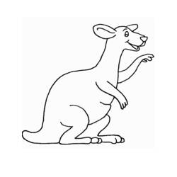 Раскраска: кенгуру (Животные) #9120 - Бесплатные раскраски для печати