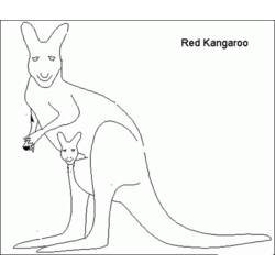 Раскраска: кенгуру (Животные) #9123 - Бесплатные раскраски для печати