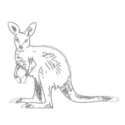 Раскраска: кенгуру (Животные) #9139 - Бесплатные раскраски для печати