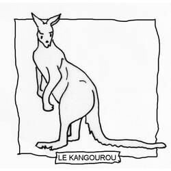 Раскраска: кенгуру (Животные) #9153 - Бесплатные раскраски для печати
