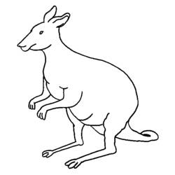 Раскраска: кенгуру (Животные) #9157 - Бесплатные раскраски для печати