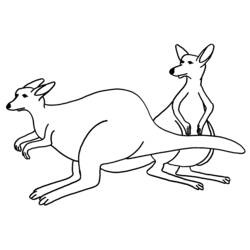 Раскраска: кенгуру (Животные) #9163 - Бесплатные раскраски для печати