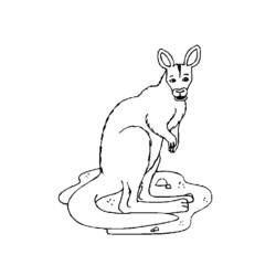 Раскраска: кенгуру (Животные) #9184 - Бесплатные раскраски для печати