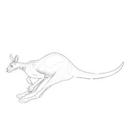 Раскраска: кенгуру (Животные) #9192 - Бесплатные раскраски для печати