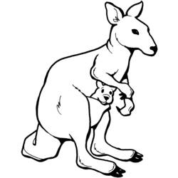 Раскраски: кенгуру - Бесплатные раскраски для печати