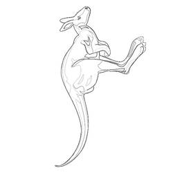 Раскраска: кенгуру (Животные) #9224 - Бесплатные раскраски для печати