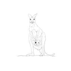 Раскраска: кенгуру (Животные) #9228 - Бесплатные раскраски для печати