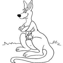 Раскраска: кенгуру (Животные) #9269 - Бесплатные раскраски для печати