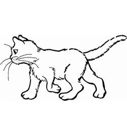 Раскраска: котенок (Животные) #18025 - Бесплатные раскраски для печати
