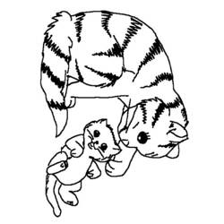 Раскраска: котенок (Животные) #18065 - Бесплатные раскраски для печати