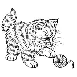 Раскраски: котенок - Бесплатные раскраски для печати
