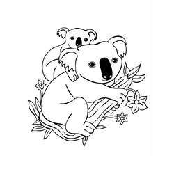 Раскраска: коала (Животные) #9302 - Бесплатные раскраски для печати