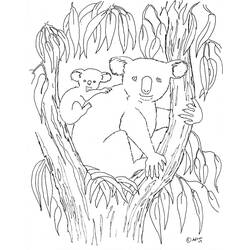 Раскраска: коала (Животные) #9310 - Бесплатные раскраски для печати