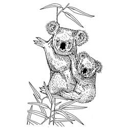 Раскраска: коала (Животные) #9327 - Бесплатные раскраски для печати