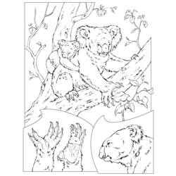 Раскраска: коала (Животные) #9339 - Бесплатные раскраски для печати