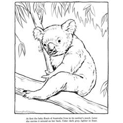 Раскраска: коала (Животные) #9388 - Бесплатные раскраски для печати