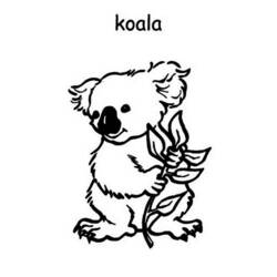 Раскраска: коала (Животные) #9420 - Бесплатные раскраски для печати