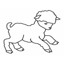 Раскраска: баранина (Животные) #182 - Бесплатные раскраски для печати
