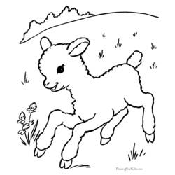 Раскраска: баранина (Животные) #190 - Бесплатные раскраски для печати