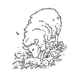 Раскраска: баранина (Животные) #192 - Бесплатные раскраски для печати