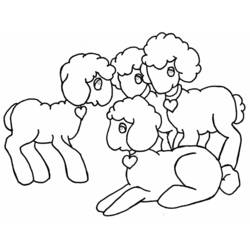 Раскраска: баранина (Животные) #205 - Бесплатные раскраски для печати