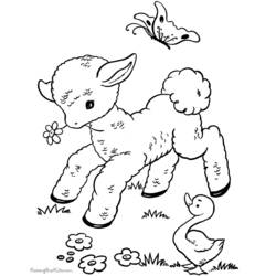 Раскраска: баранина (Животные) #214 - Бесплатные раскраски для печати