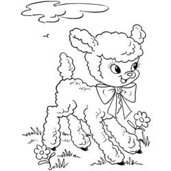 Раскраска: баранина (Животные) #219 - Бесплатные раскраски для печати