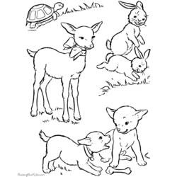 Раскраска: баранина (Животные) #262 - Бесплатные раскраски для печати