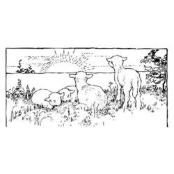 Раскраска: баранина (Животные) #269 - Бесплатные раскраски для печати