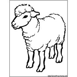 Раскраска: баранина (Животные) #272 - Бесплатные раскраски для печати