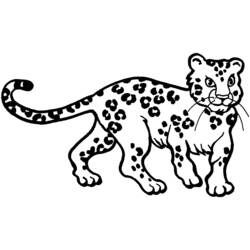 Раскраска: леопард (Животные) #9706 - Бесплатные раскраски для печати