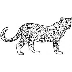 Раскраска: леопард (Животные) #9710 - Бесплатные раскраски для печати