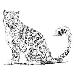 Раскраска: леопард (Животные) #9720 - Бесплатные раскраски для печати