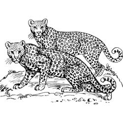 Раскраска: леопард (Животные) #9724 - Бесплатные раскраски для печати