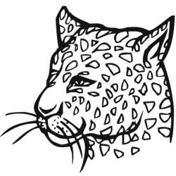 Раскраска: леопард (Животные) #9751 - Бесплатные раскраски для печати