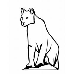 Раскраска: леопард (Животные) #9756 - Бесплатные раскраски для печати