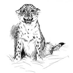 Раскраска: леопард (Животные) #9761 - Бесплатные раскраски для печати