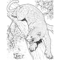 Раскраска: леопард (Животные) #9775 - Бесплатные раскраски для печати